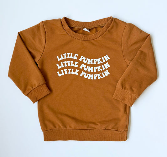 Little Pumpkin Brown Pullover (3/4 Years)