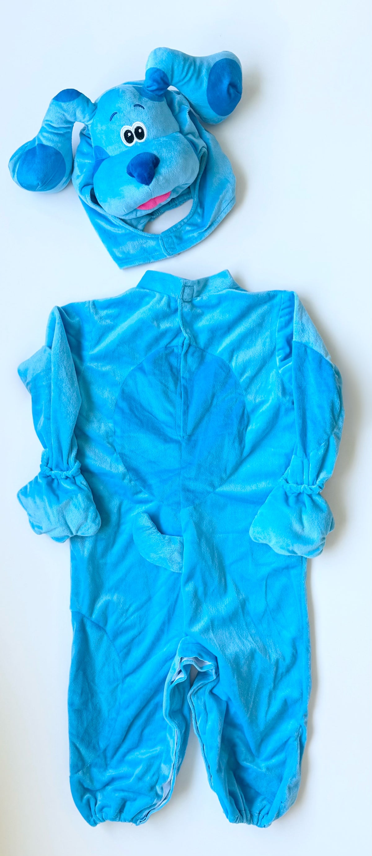 Rubies Blues Clues Costume (3-4 Years)
