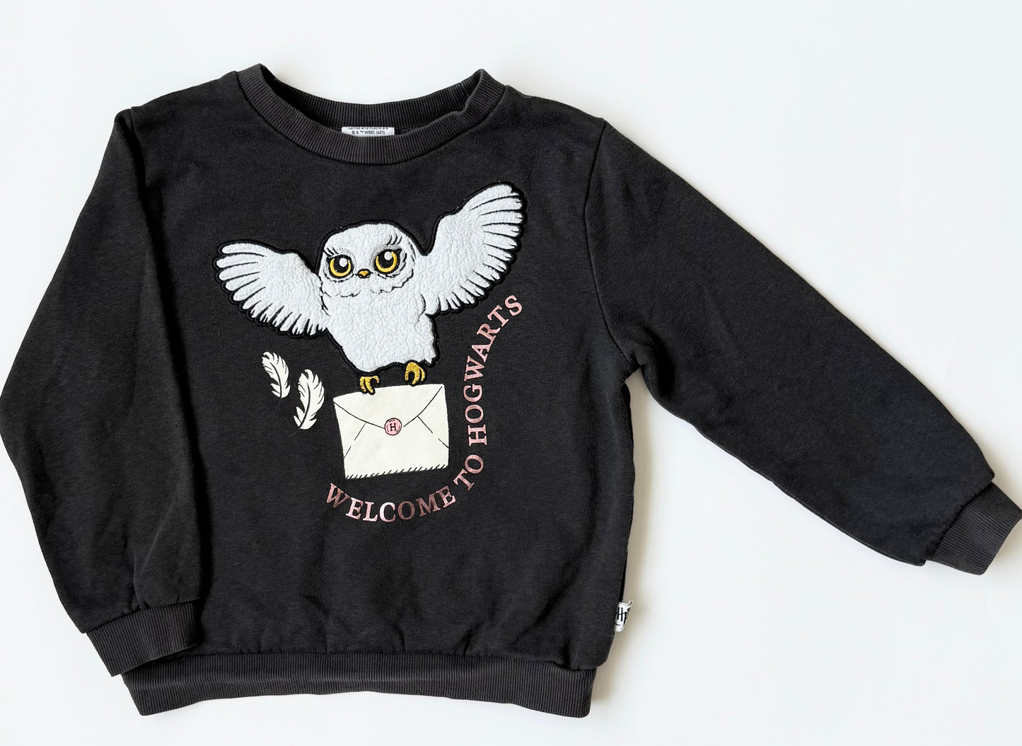 H&M x Harry Potter Grey “Welcome to Hogwarts” Owl Sweater (4-6 Years)