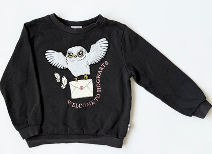 H&M x Harry Potter Grey “Welcome to Hogwarts” Owl Sweater (4-6 Years)