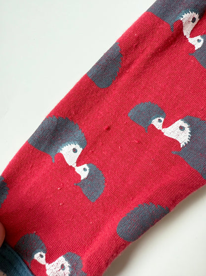 Kickee Pants Red Hedgehog Snap Sleeper Romper (3-6 Months)