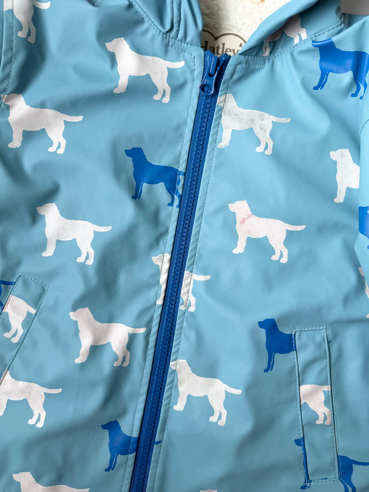 Hatley Blue Dogs Fur Interior Rain Jacket (2T)