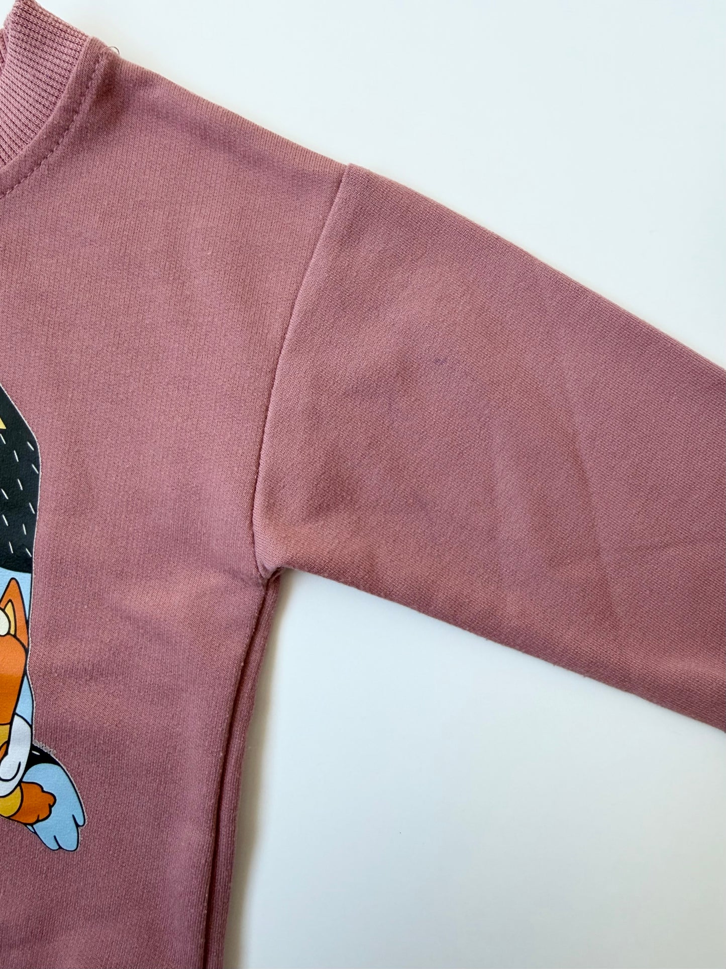 Bluey Mulberry Family Sweater & Pants Set (2T)