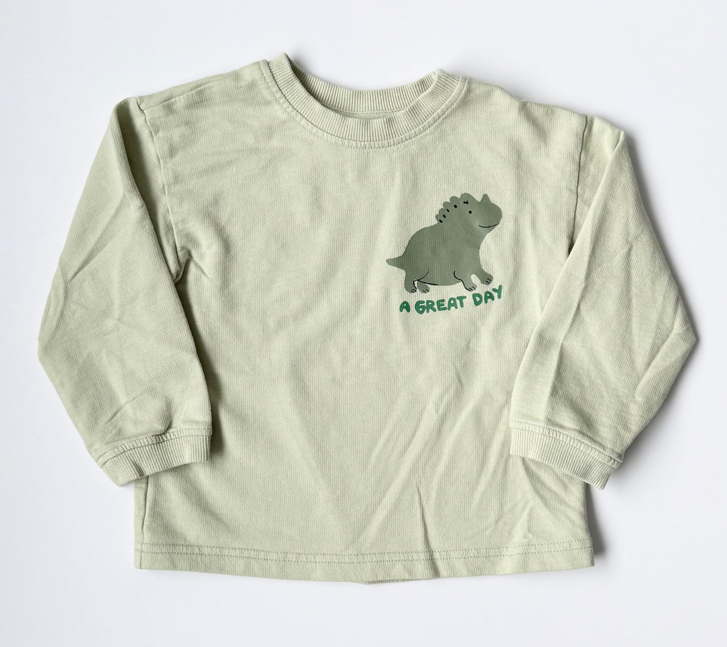 H&M Green “A Great Day” Dinosaur Sweater (18-24 Months)