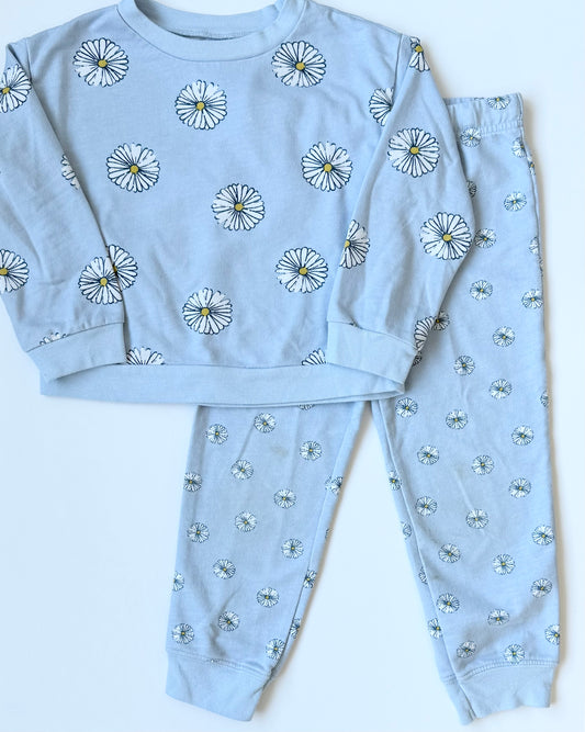 Carters Light Blue Daisies Sweater & Pants Set (4T)