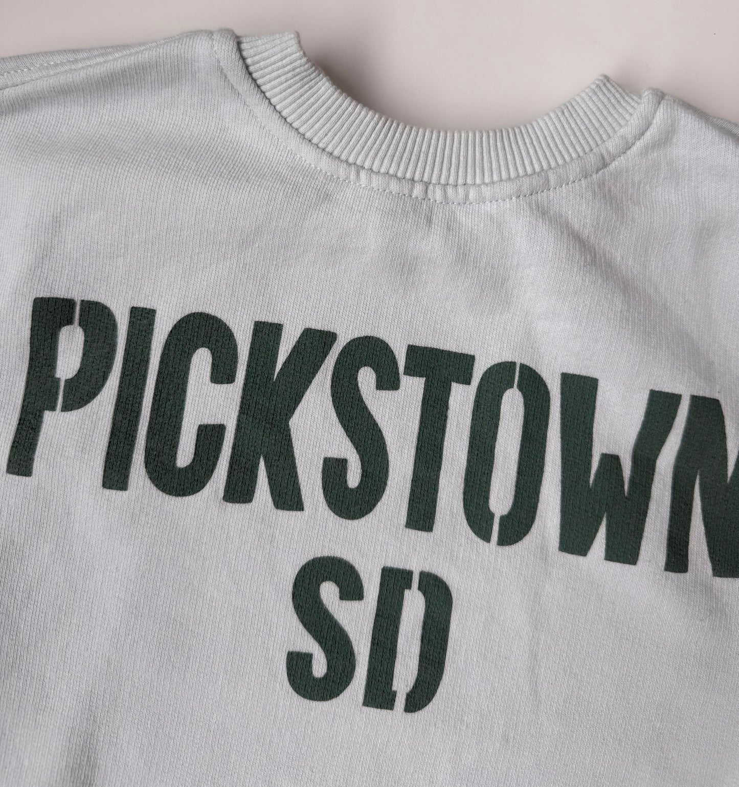 Zara Blue “Pickstown SD” Crewneck Sweater (12-18 Months)