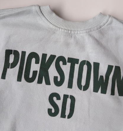 Zara Blue “Pickstown SD” Crewneck Sweater (12-18 Months)
