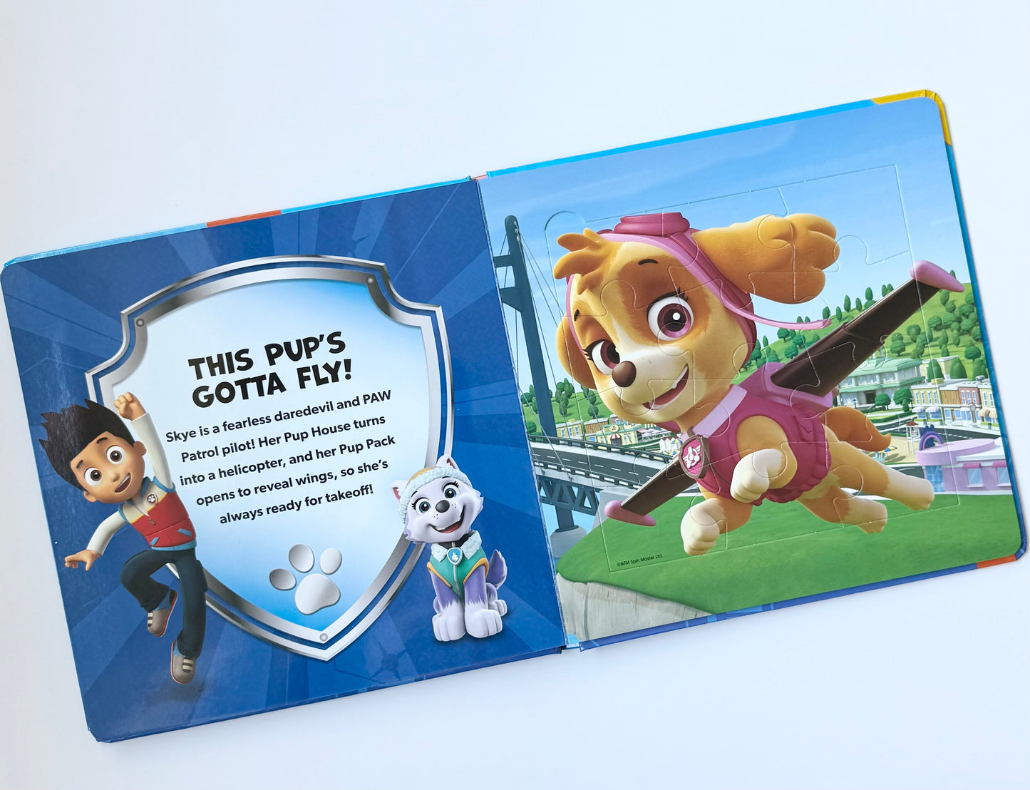 Nickelodeon Paw Patrol Puzzle Book