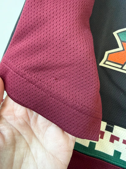 Arizona Coyotes Fanatics Hockey Jersey (Youth Small)