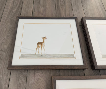 Restoration Hardware Baby & Child Nursery Sharon Montrose Animals Photos - Set Of 3