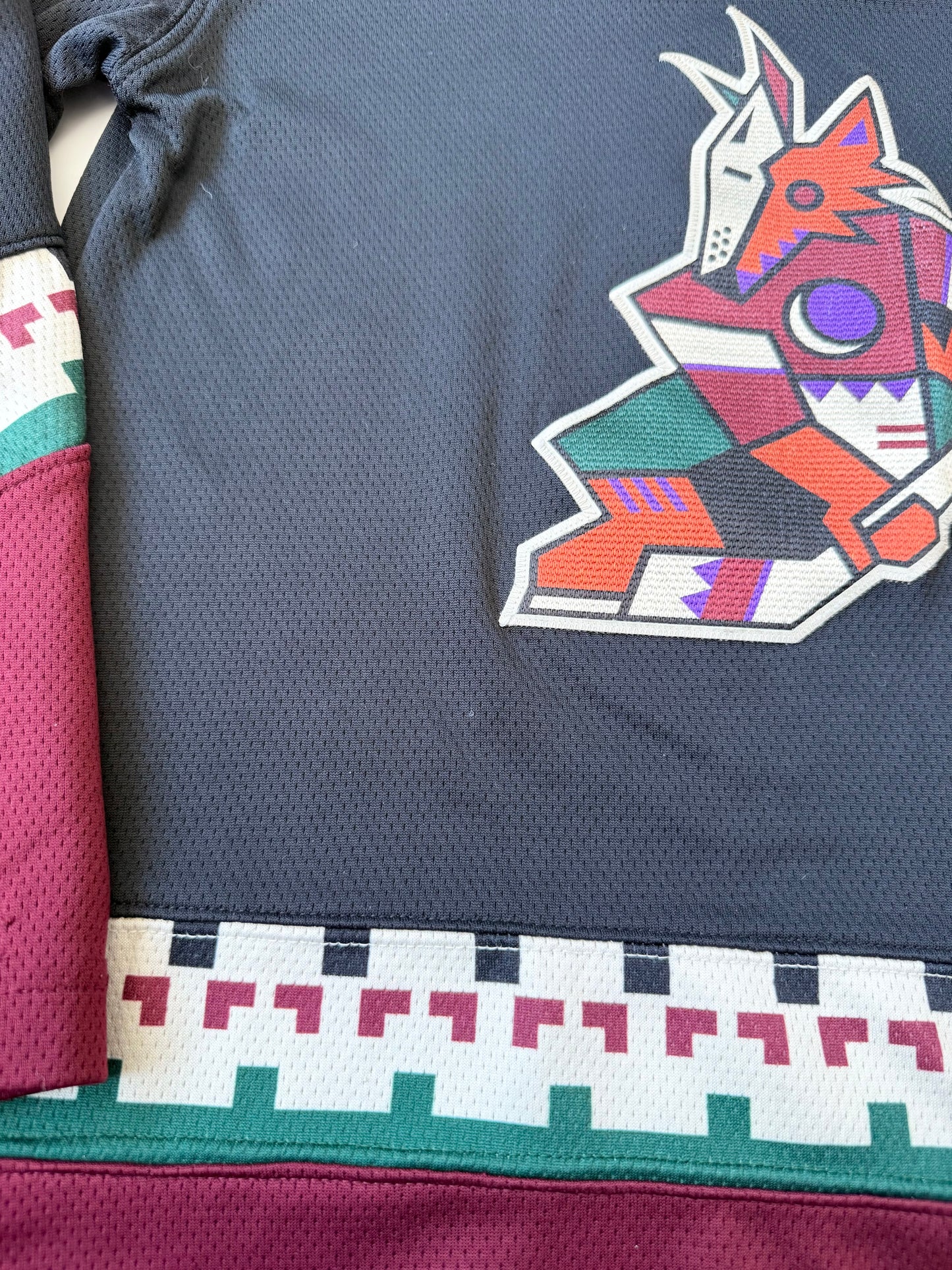 Arizona Coyotes Fanatics Hockey Jersey (Youth Small)