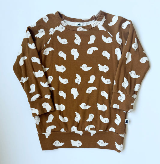 Little & Lively Friendly Ghosts Pullover (1T/2T)