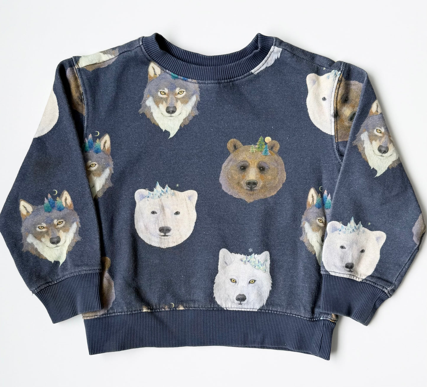 H&M x Whooli Chen Blue Bears & Wolves Sweater (4-6 Years)