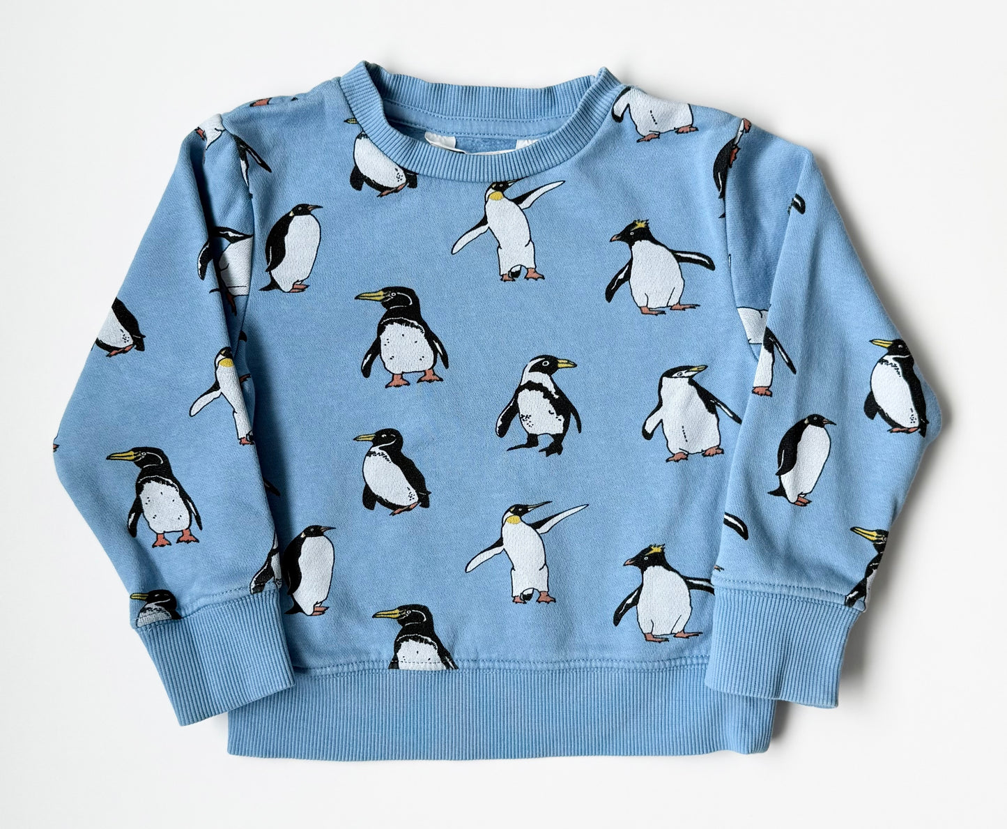 H&M Blue Penguins Sweater (18-24 Months)