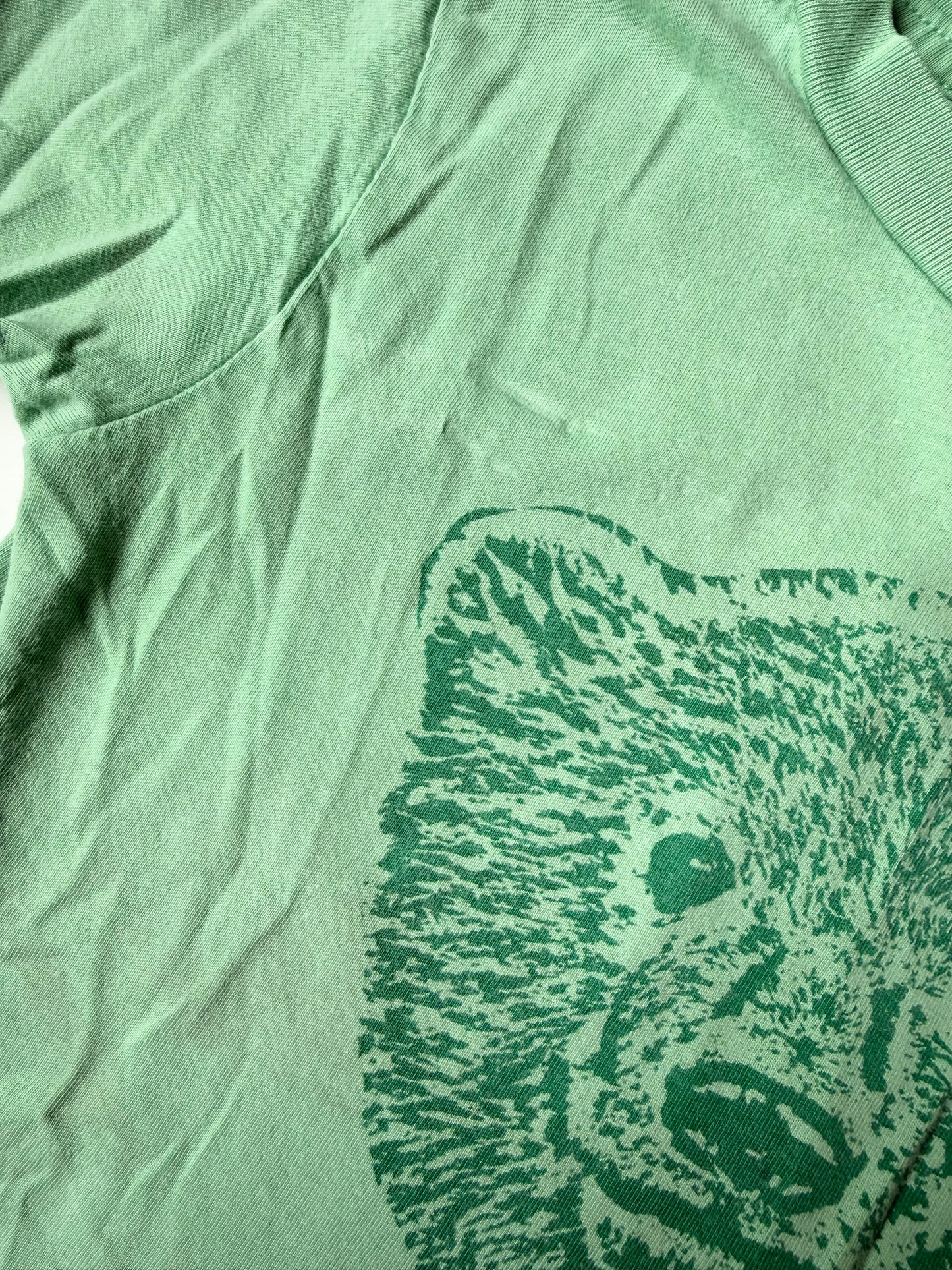Parade Organics Green Canada Bear T-Shirt (3 Years)