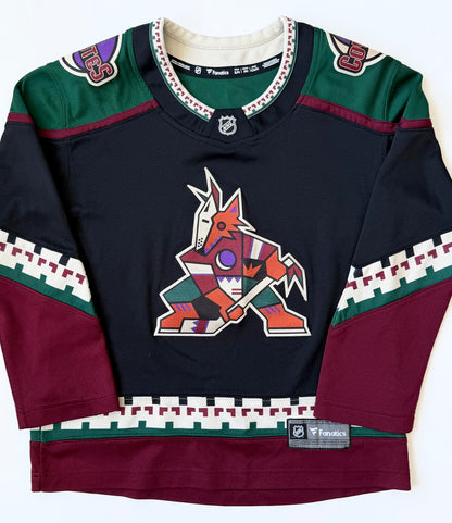 Arizona Coyotes Fanatics Hockey Jersey (Youth Small)