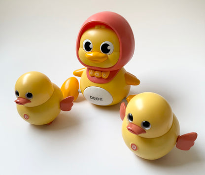 Hahaland Musical Duck Interactive Set