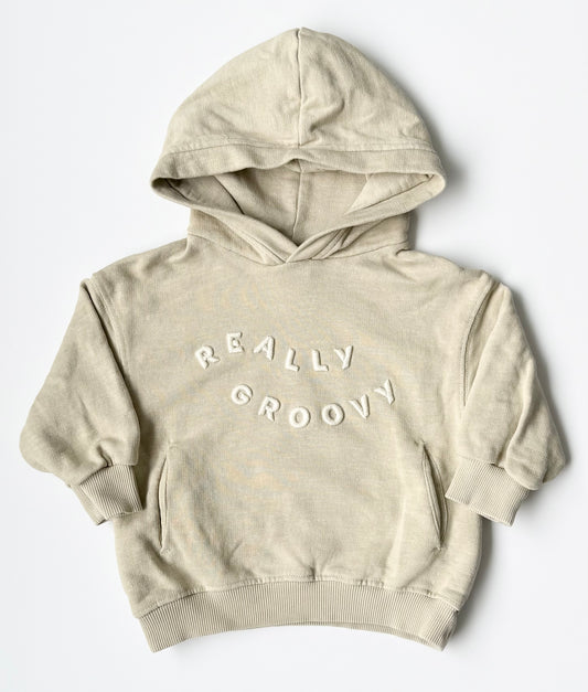 Zara Tan “Really Groovy” Hoodie (9-12 Months)