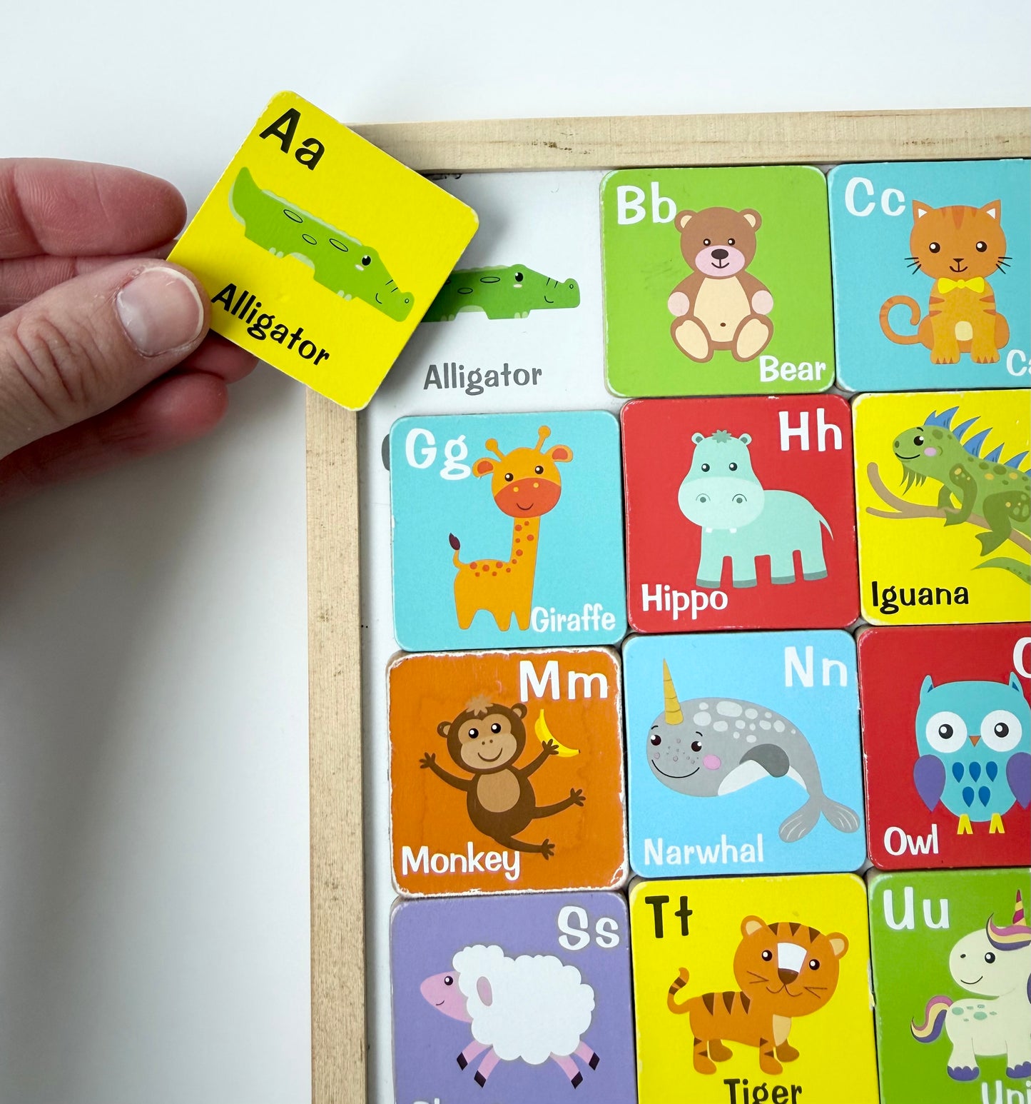 2-in-1 Magnetic Alphabet & Puzzle Set