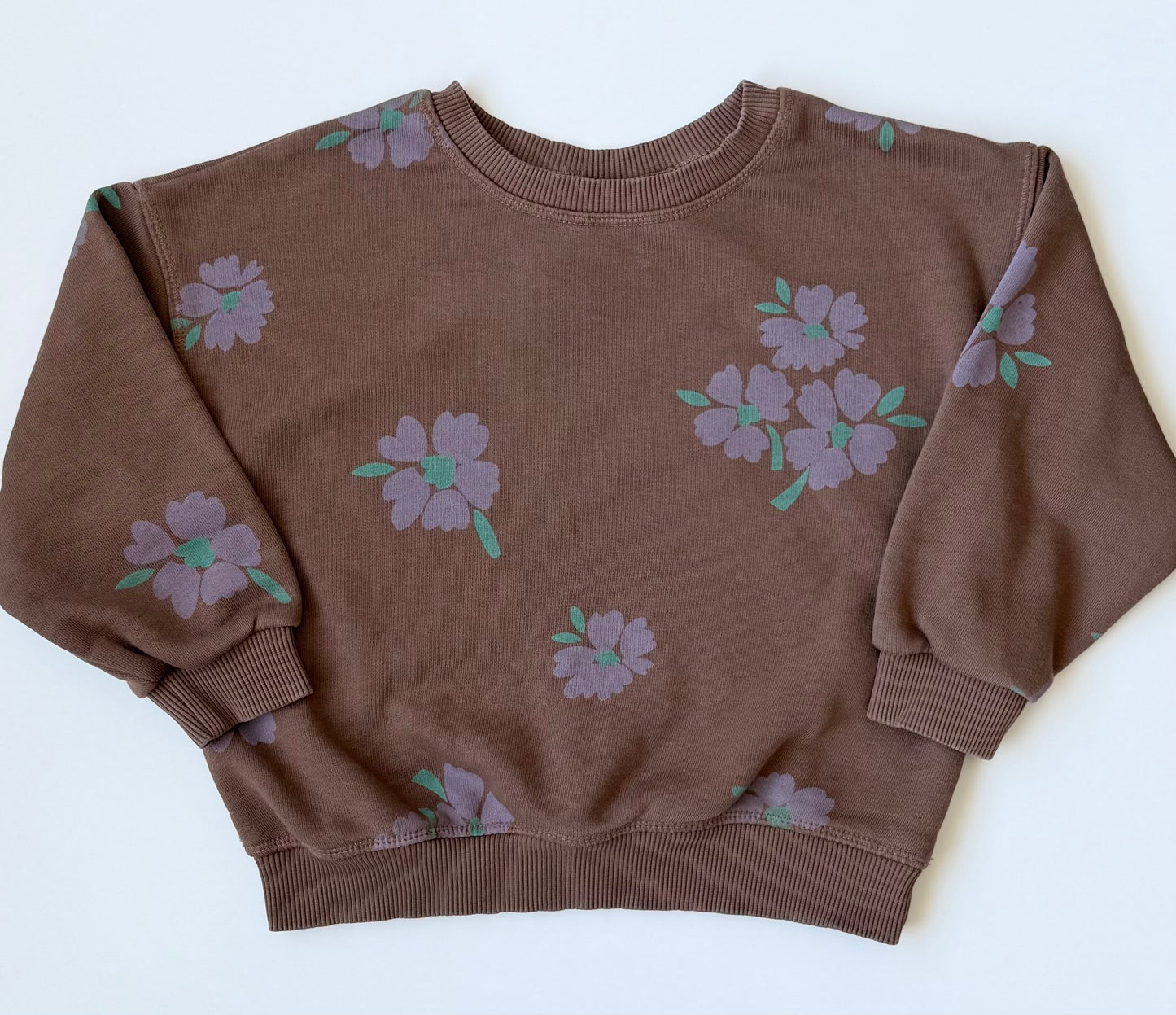 Zara Brown & Purple Flowers Sweater (4T)