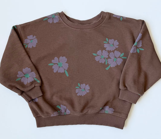 Zara Brown & Purple Flowers Sweater (4T)