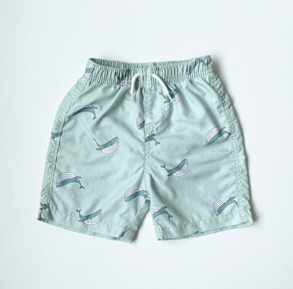 Rise Little Earthlings Green Whales Swim Trunks (18-24 Months)