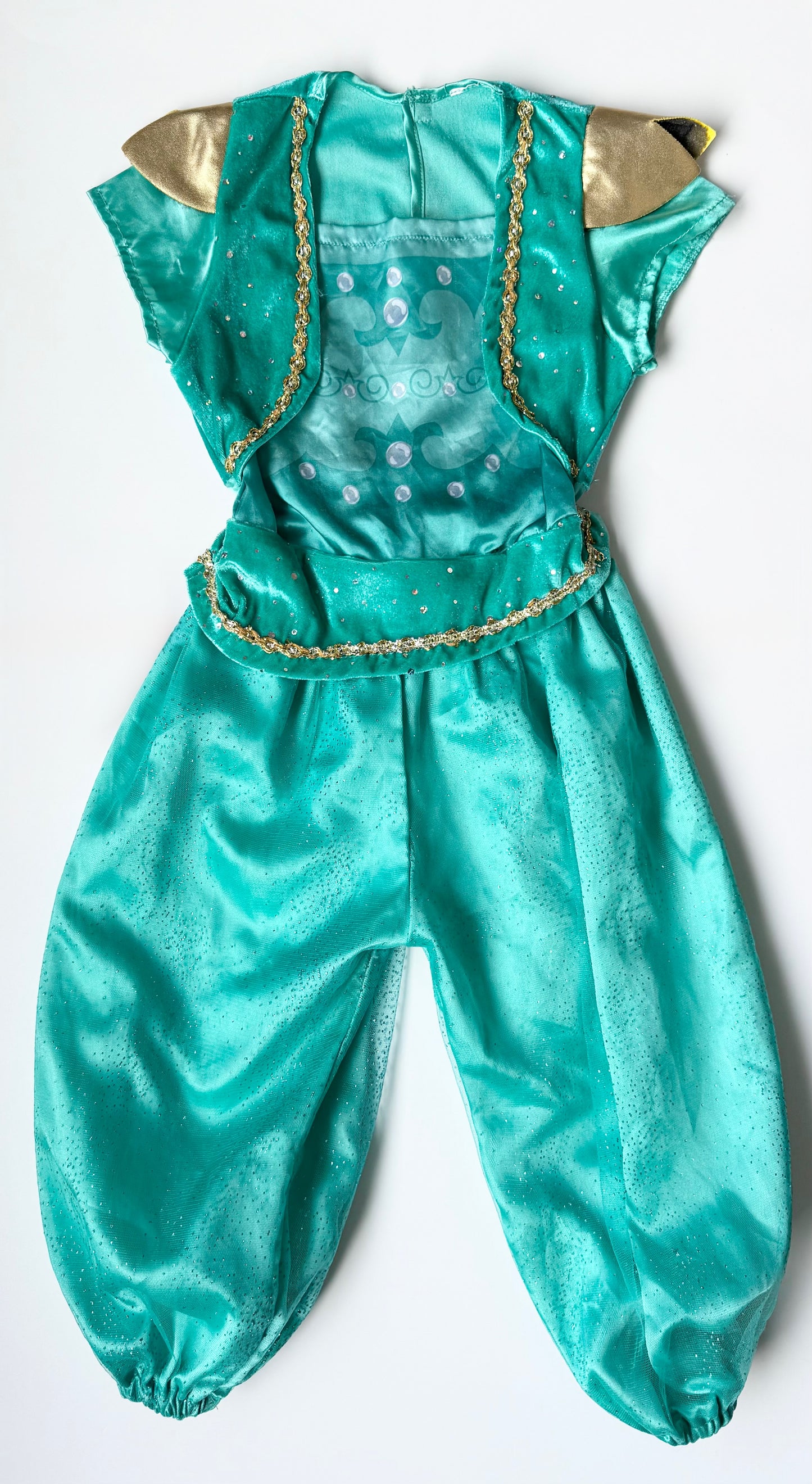 Nickelodeon Shimmer & Shine Turquoise Genie Costume (3/4T)
