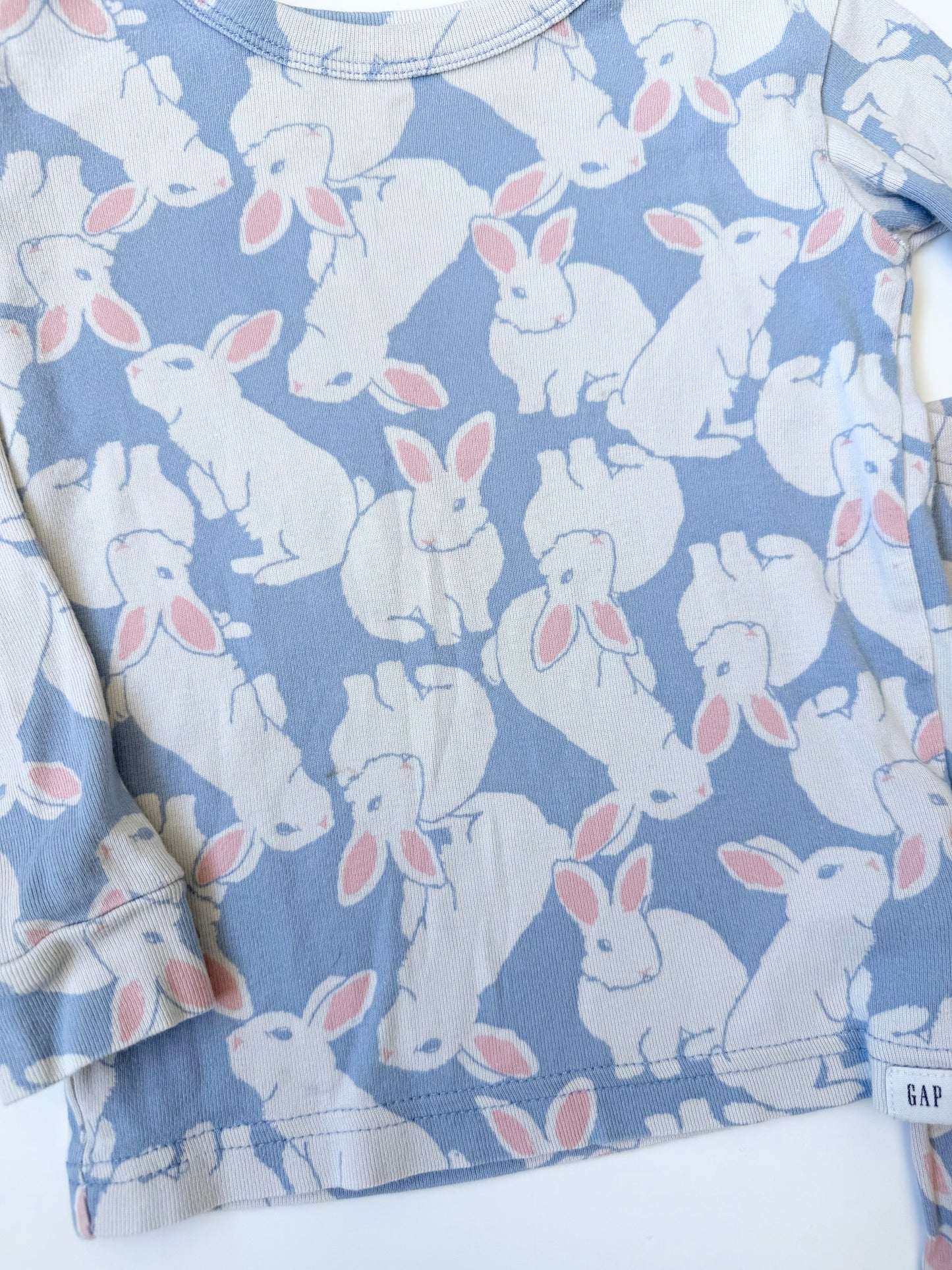 Baby Gap Light Blue Bunny Two Piece PJ Set (3 Years)