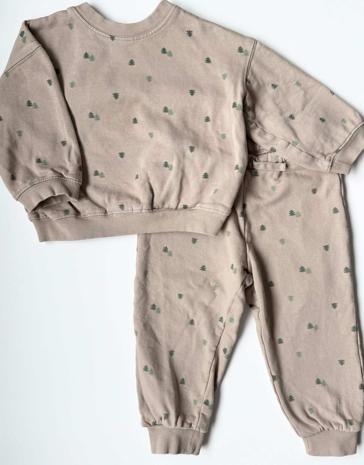H&M Brown Trees Sweater & Pants Two Peice Set (2-3 Years)