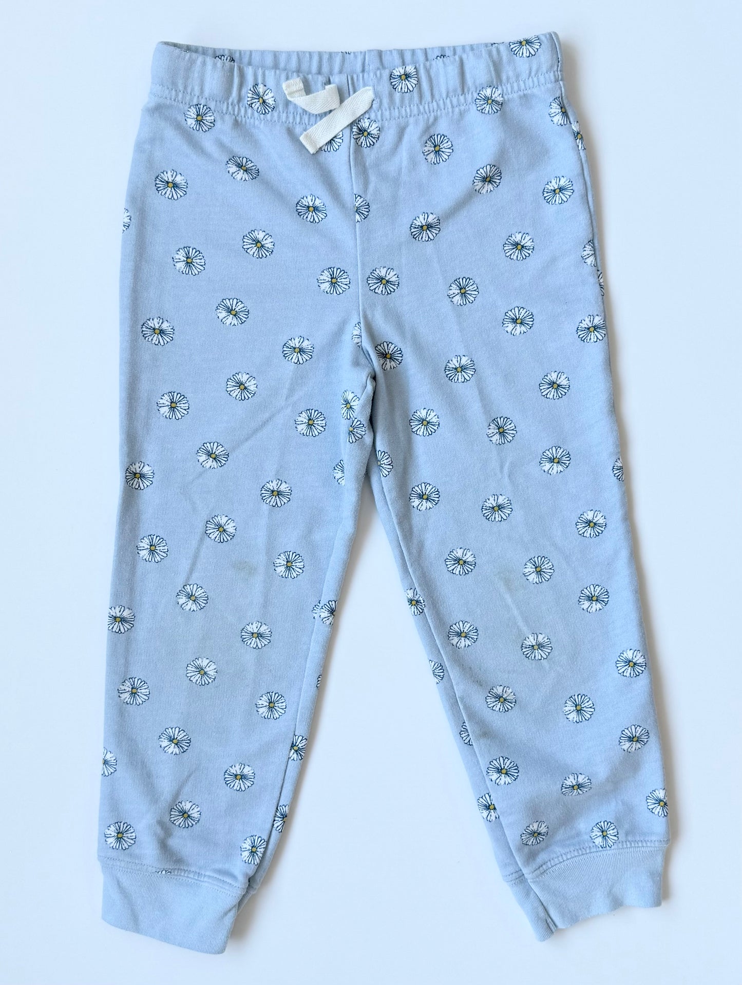 Carters Light Blue Daisies Sweater & Pants Set (4T)