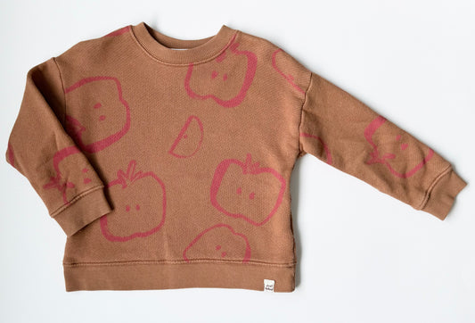 Zara Brown Apples “Just Natural” Crewneck Sweater (18-24 Months)
