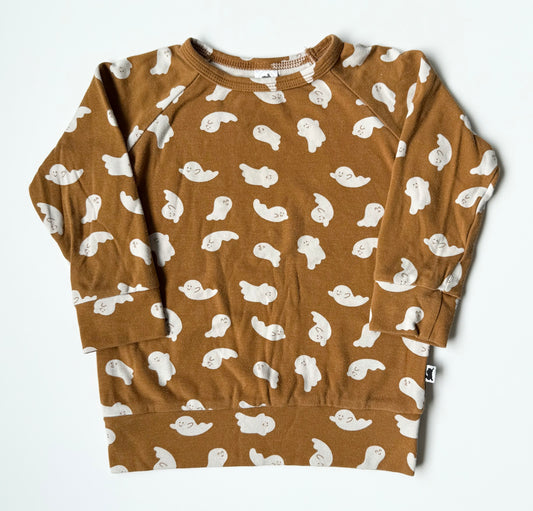 Little & Lively Friendly Ghosts Pullover (1T/2T)