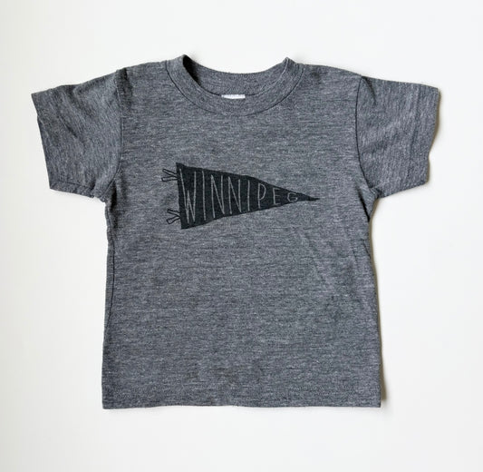 LCMTV Grey Winnipeg T-Shirt (2T)