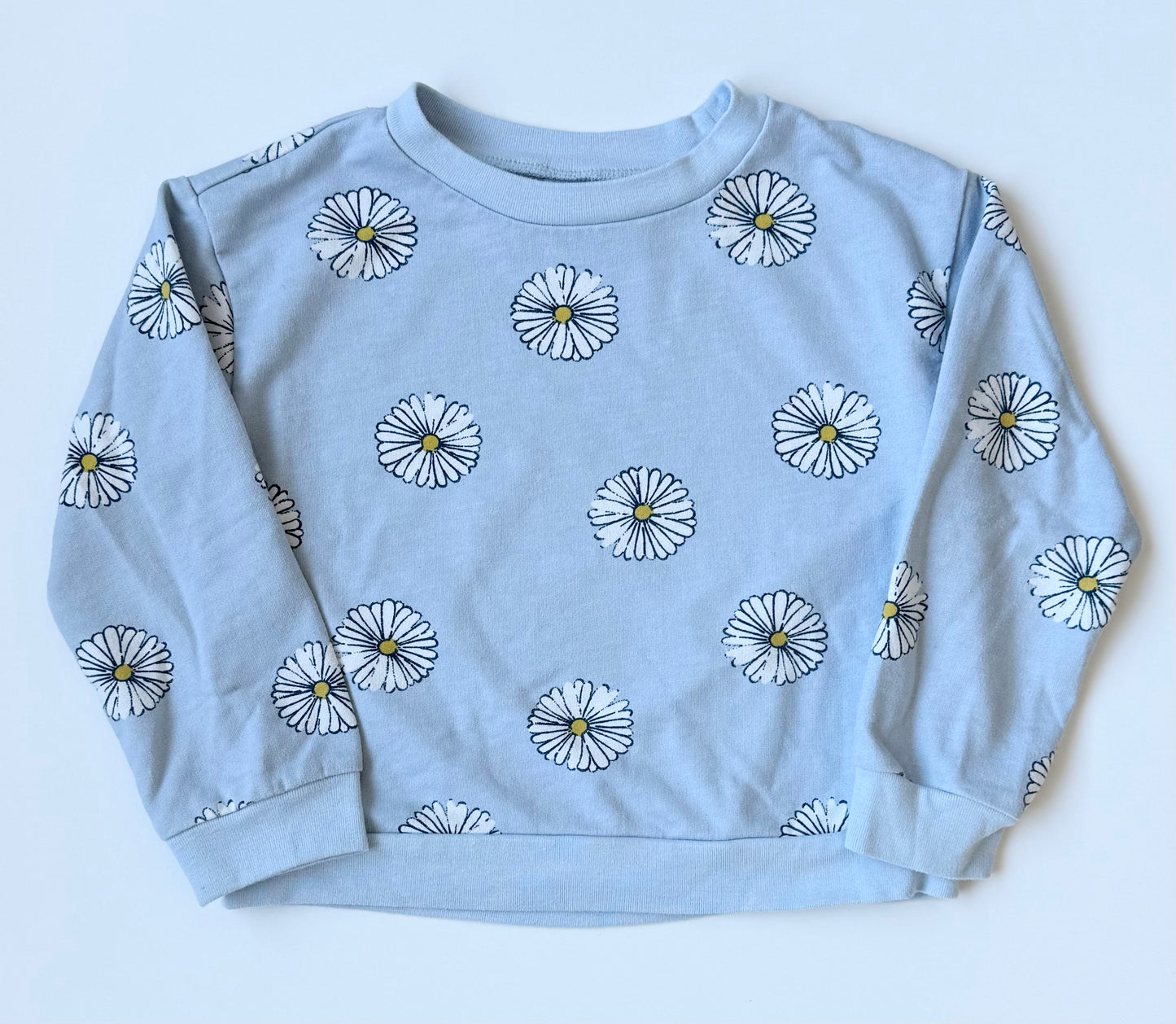 Carters Light Blue Daisies Sweater & Pants Set (4T)