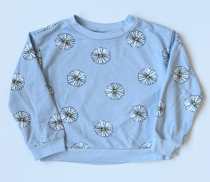 Carters Light Blue Daisies Sweater & Pants Set (4T)