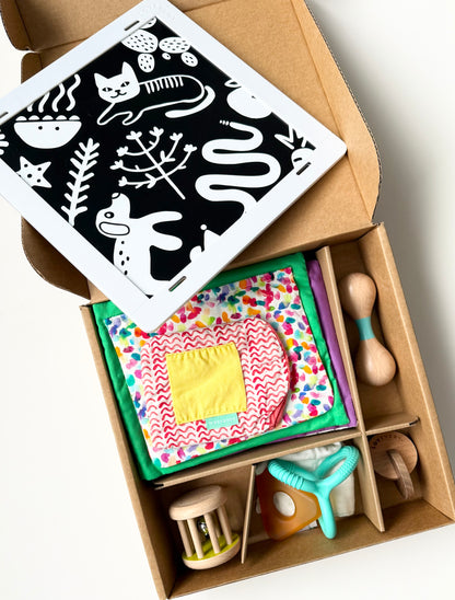 Lovevery The Charmer Play Kit