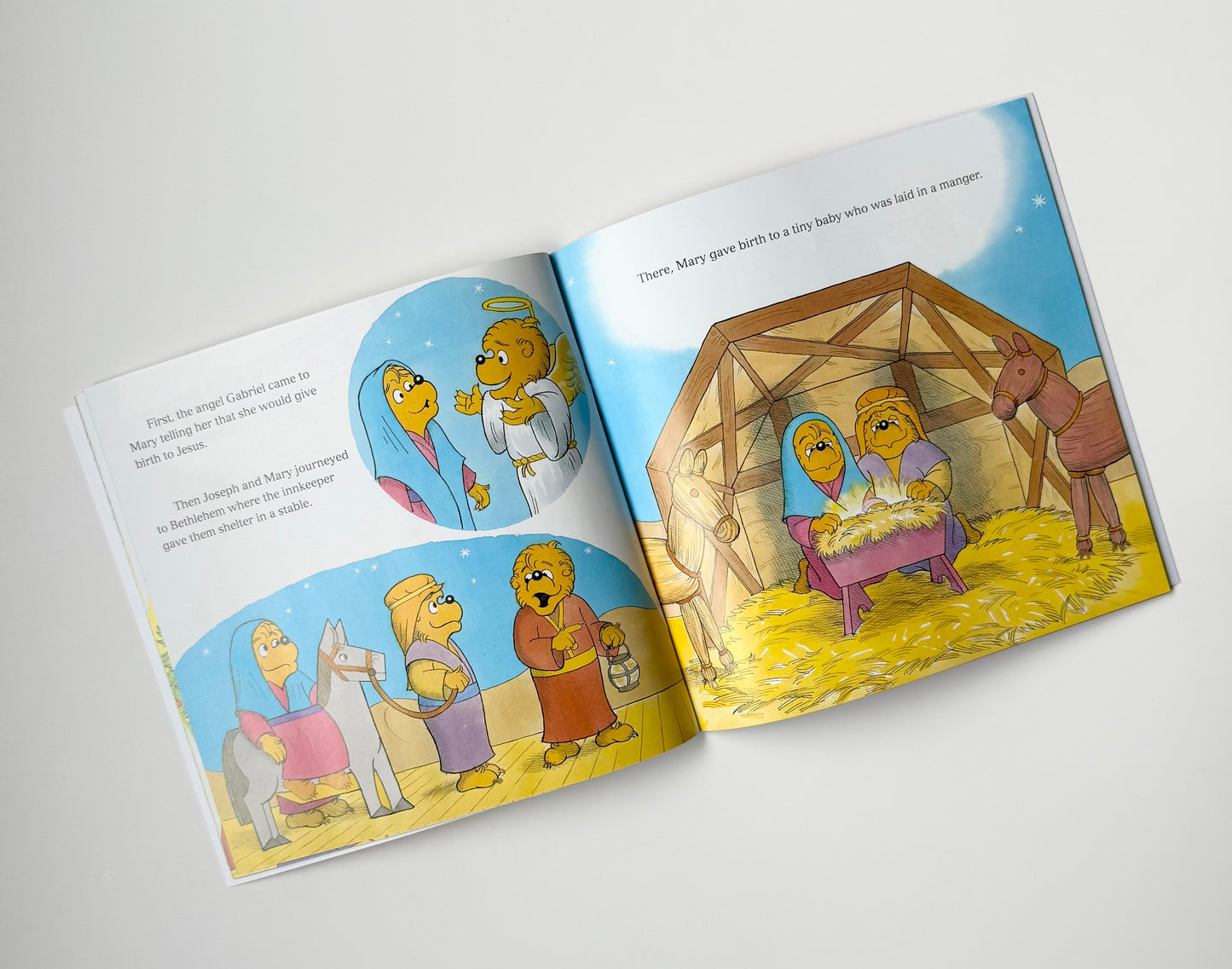 The Berenstain Bears “Joy of Giving” Book