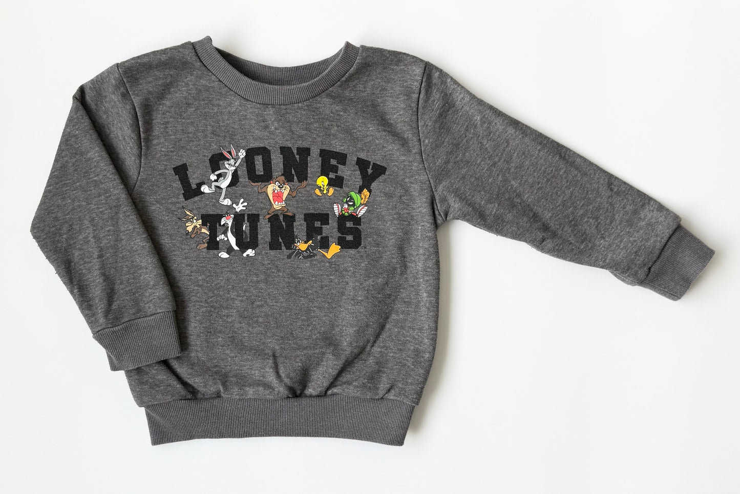 Looney Tunes Dark Grey Characters Sweater (3T)