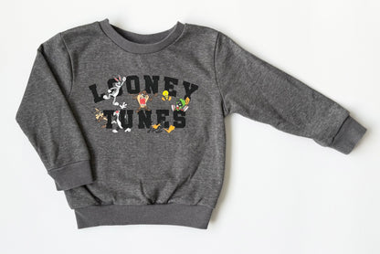 Looney Tunes Dark Grey Characters Sweater (3T)
