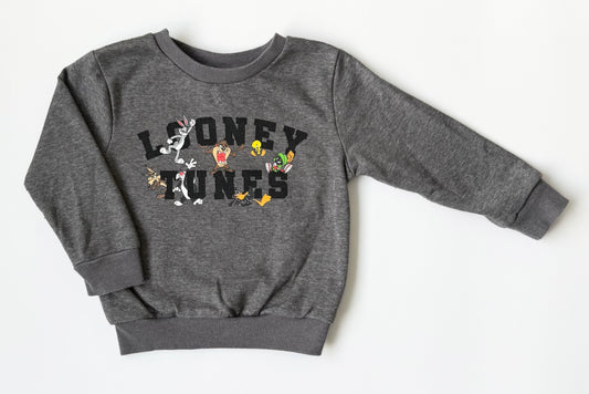 Looney Tunes Dark Grey Characters Sweater (3T)