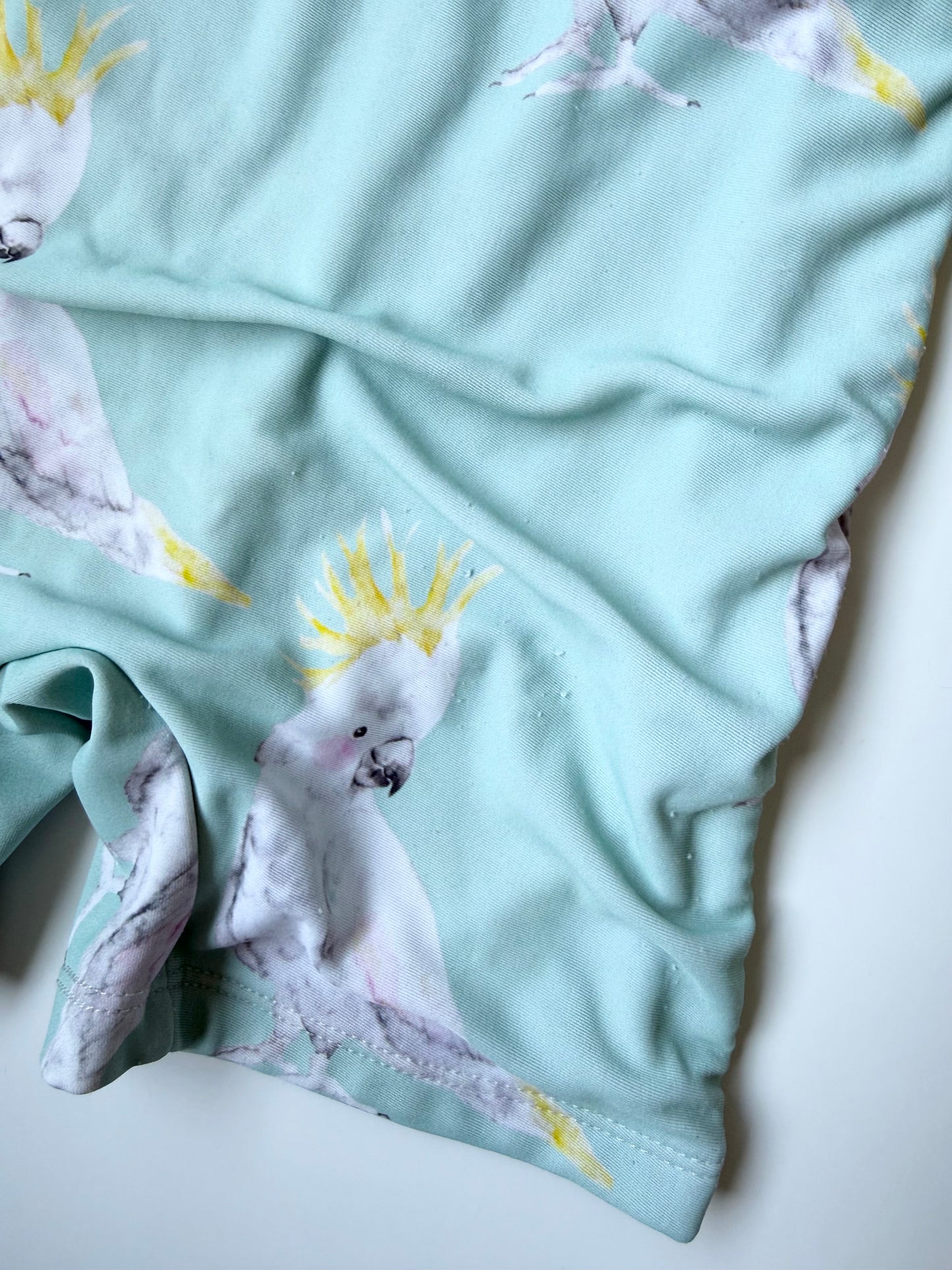 Cheeky Chickadee Light Green Parrot Long Sleeve Rashguard One Piece Swimsuit (5T)