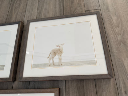 Restoration Hardware Baby & Child Nursery Sharon Montrose Animals Photos - Set Of 3