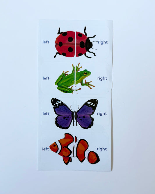 Lovevery Left & Right Shoe Stickers