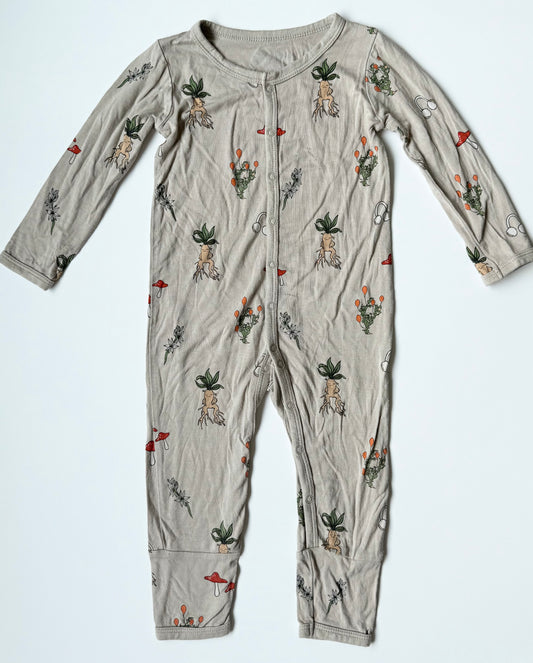 Kyte x Harry Potter Herbology Snap Romper (18-24 Months)