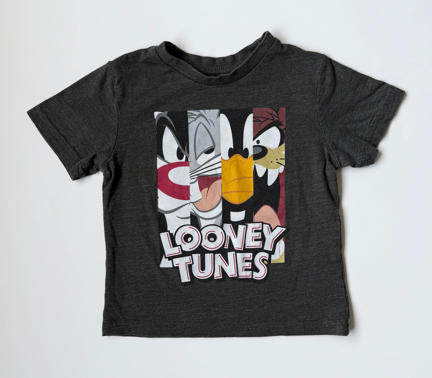 Looney Tunes Dark Grey Characters T-Shirt (3T)