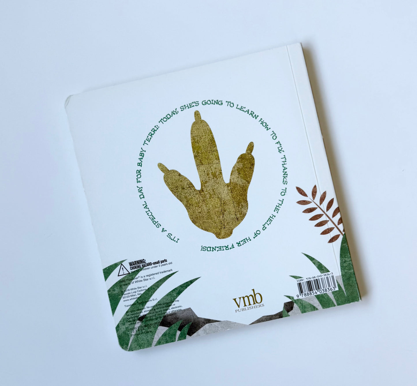 Baby Dinosaurs Terri’s First Fight Board Book