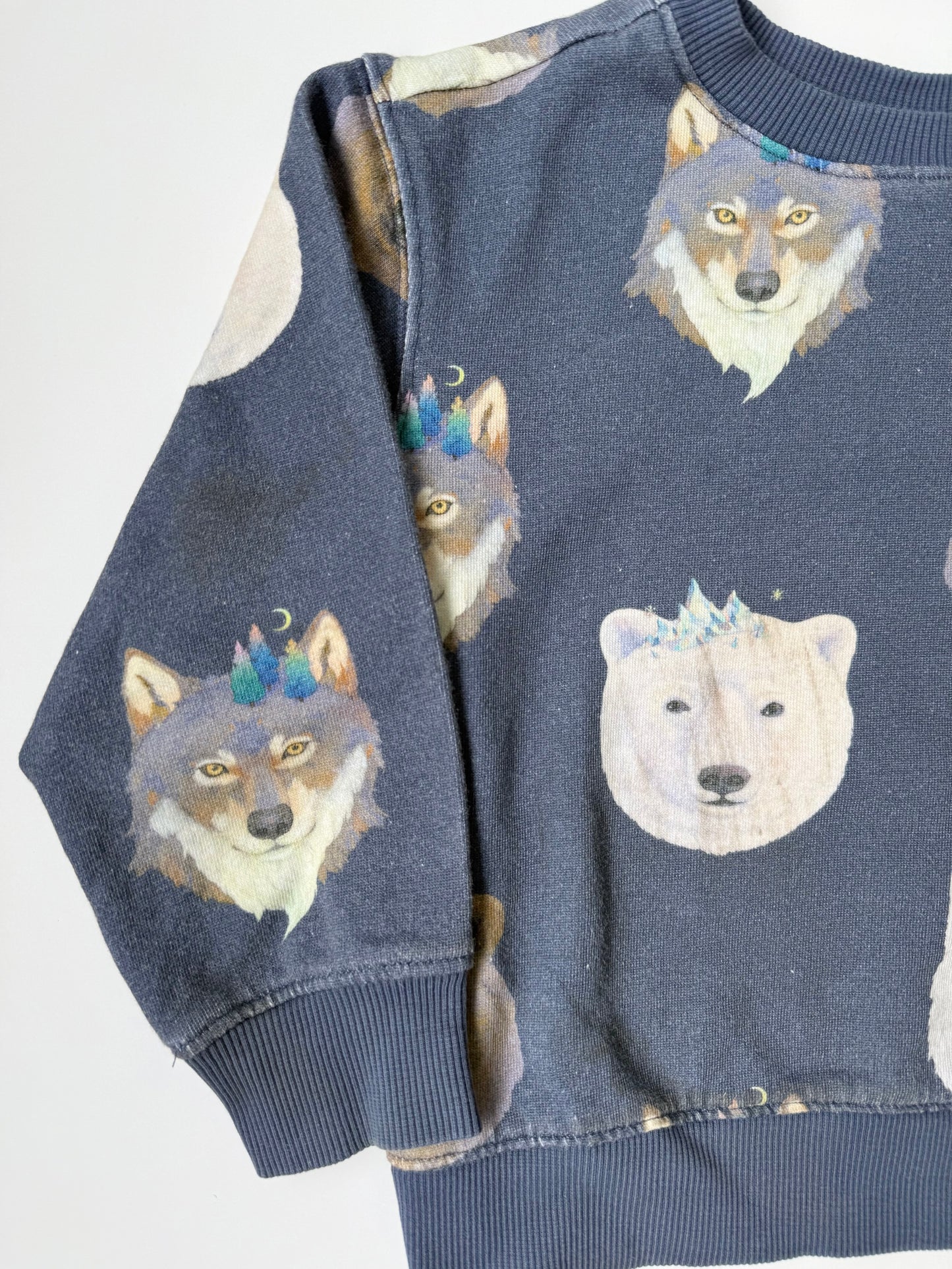 H&M x Whooli Chen Blue Bears & Wolves Sweater (4-6 Years)