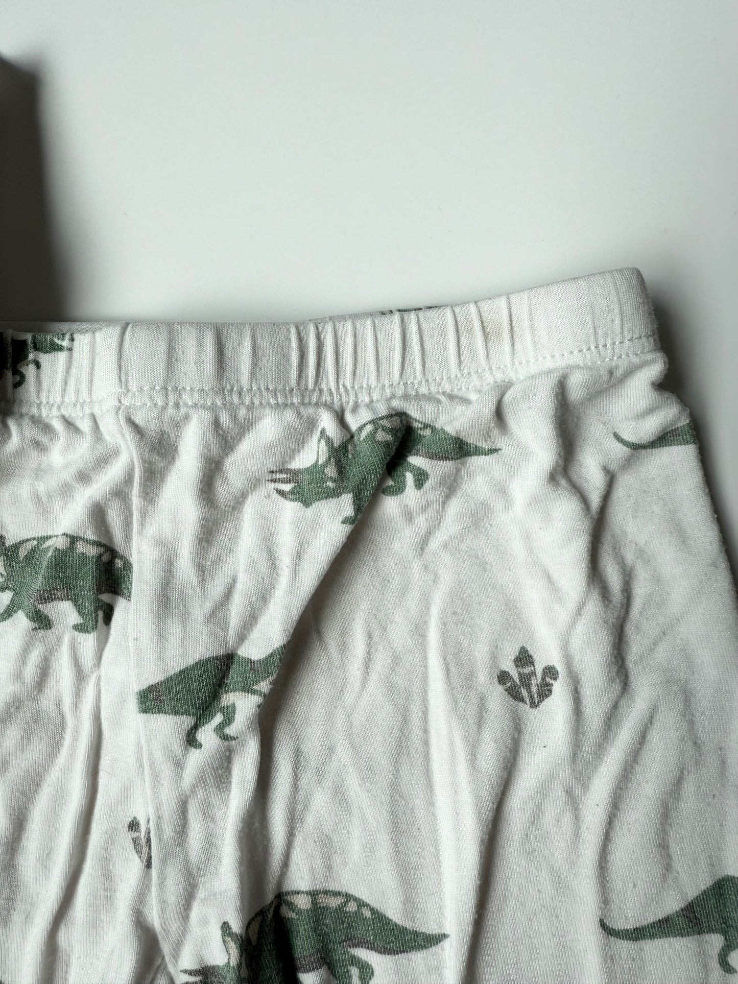 Kyte Dino Long Sleeve PJ Set (4T)