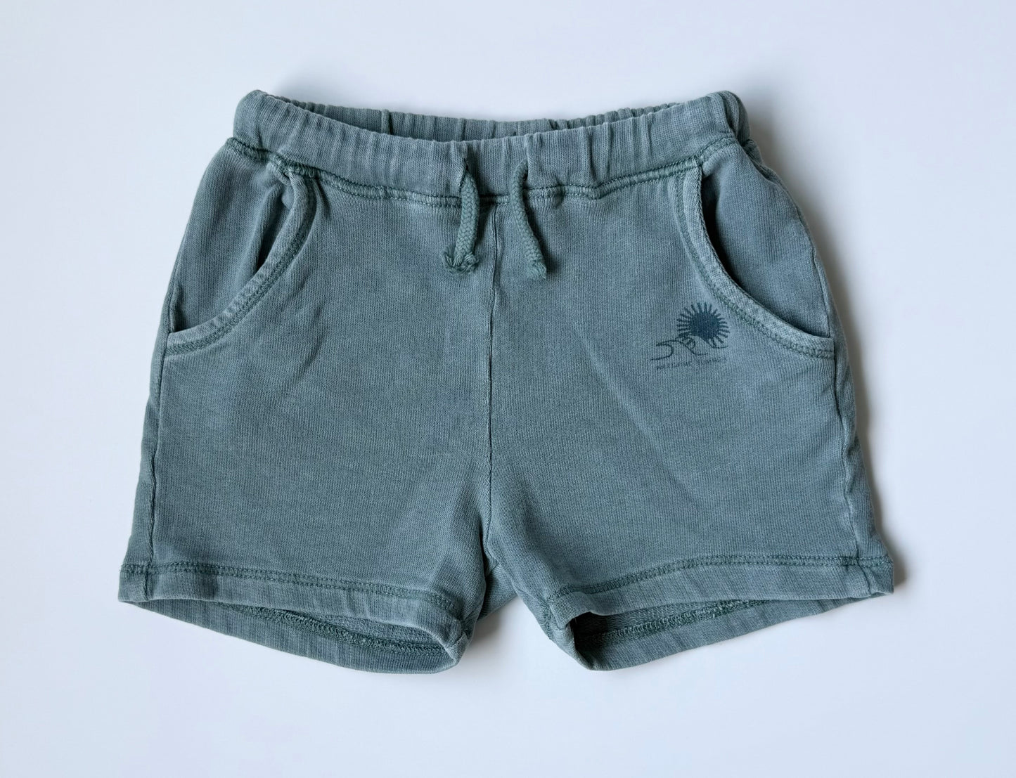 Zara Dark Turquoise Surf Sun Shorts (3-6 Months)