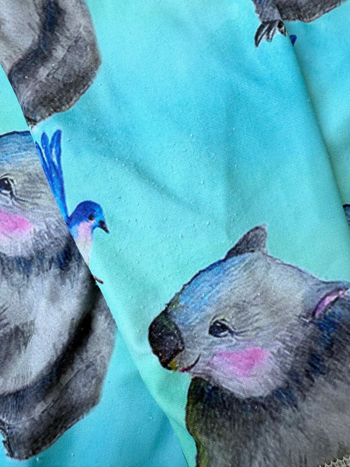 Cheeky Chickadee Turquoise Koala Rashguard Swimsuit (3T)